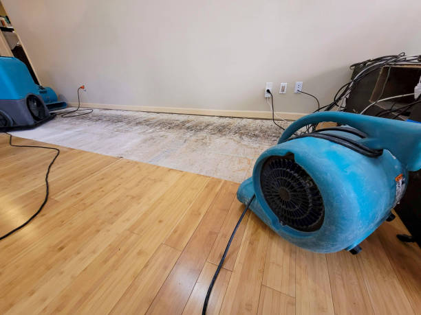 Professional Water Damage Repair technician working in Mountain Home, AR